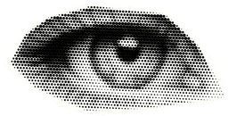 Zie wat je nooit zag