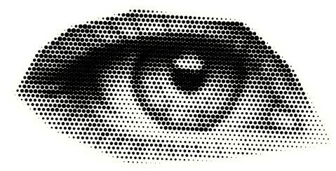 Zie wat je nooit zag